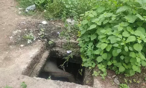 மதுரையில் மழைநீர் வாய்காலில் அடையாளம் தெரியாத ஆண் சடலம்