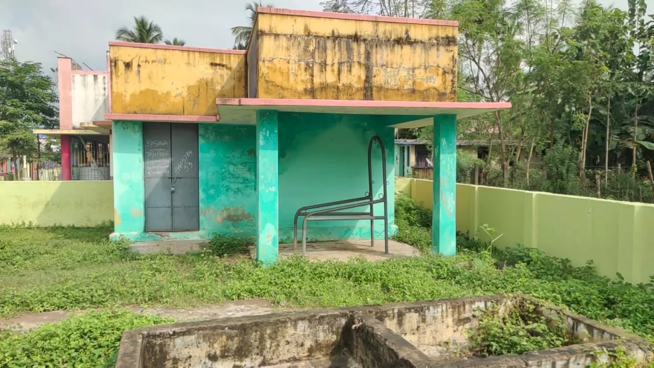 திருவாரூர் மாவட்டத்தில் கோமாரி நோய் பரவும் அபாயம் தடுக்க கோரிக்கை திருவாரூர் மாவட்டத்தில் கோமாரி நோய் பரவும் அபாயம் தடுக்க கோரிக்கை