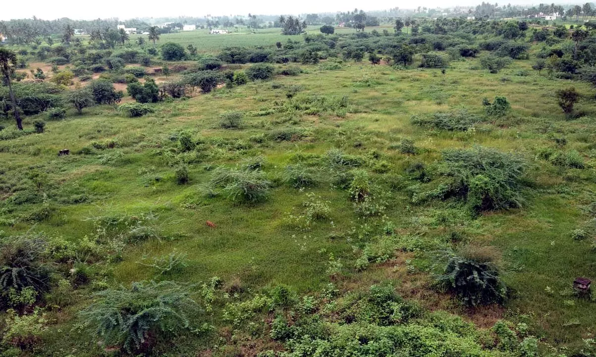 கனமழையிலும் வறண்ட இராசிபுரம் ஏரி: நீர்வழிப்பாதை ஆக்கிரமிப்பா? பொதுமக்கள் கவலை கனமழையிலும் வறண்ட இராசிபுரம் ஏரி: நீர்வழிப்பாதை ஆக்கிரமிப்பா? பொதுமக்கள் கவலை