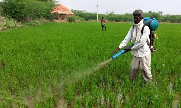 தர்மபுரி மாவட்டத்தில் வானிலை சார்ந்த வேளாண் ஆலோசனை தர்மபுரி மாவட்டத்தில் வானிலை சார்ந்த வேளாண் ஆலோசனை