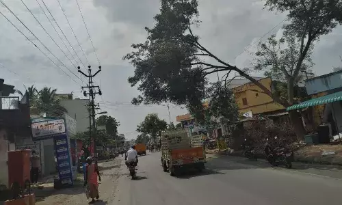 குமாரபாளையத்தில் சாய்ந்த மரக்கிளை - வாகன ஓட்டிகளின் உயிருக்கு உலை?