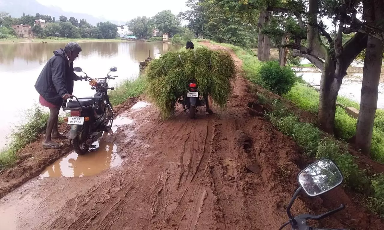கூடலுார் ஒட்டான்குளம் கரை சேதம்: சீரமைக்க விவசாயிகள் வலியுறுத்தல் கூடலுார் ஒட்டான்குளம் கரை சேதம்: சீரமைக்க விவசாயிகள் வலியுறுத்தல்