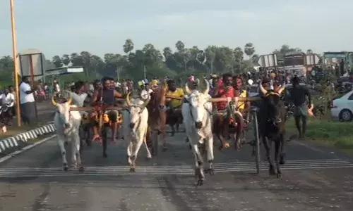 கழனிவாசலில் மாட்டு வண்டி பந்தயம் -  53 ஜோடி மாடுகள் பங்கேற்பு
