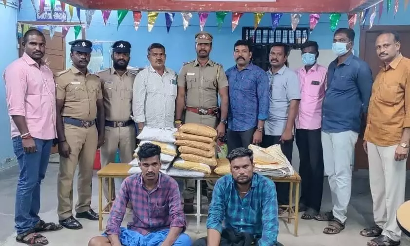 திண்டுக்கல்லில் கஞ்சா விற்பனை செய்த 2 பேர் கைது: 25 கிலோ கஞ்சா பறிமுதல் திண்டுக்கல்லில் கஞ்சா விற்பனை செய்த 2 பேர் கைது: 25 கிலோ கஞ்சா பறிமுதல்