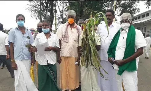 தென்காசியில் வெள்ள நிவாரணம் வழங்க கோரி அழுகிய பயிர்களுடன் விவசாயிகள் மனு