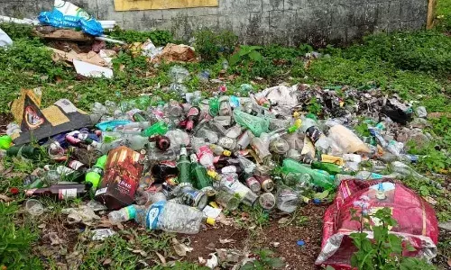 மேகமலையில் சரணாலயம் பகுதியில் குவிந்து கிடக்கும் காலி மதுபாட்டில்கள்