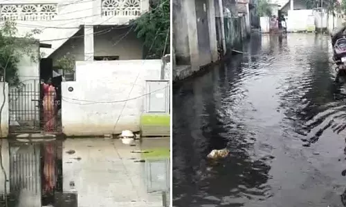 நோய்பரப்பும் பள்ளிக்கரணை தெருக்கள்: மழைநீரை அகற்ற இன்னும் மனமில்லையா?