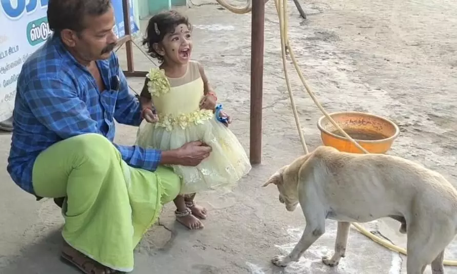 அரியலூர் அருகே ஸ்பைகி நாய் திரும்பி வந்ததால் குடும்பத்தினர் மகிழ்ச்சி அரியலூர் அருகே ஸ்பைகி நாய் திரும்பி வந்ததால் குடும்பத்தினர் மகிழ்ச்சி