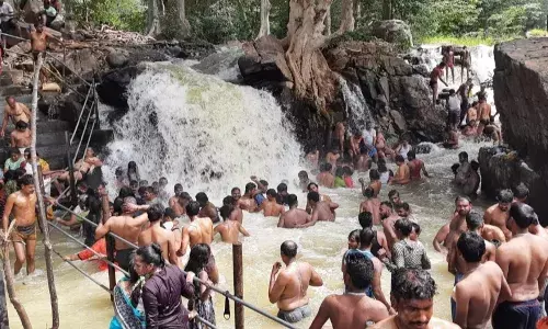 ஒகேனக்கல்லில் குறைந்தது நீர்வரத்து: சுற்றுலாப் பயணிகள் உற்சாகம் ஒகேனக்கல்லில் குறைந்தது நீர்வரத்து: சுற்றுலாப் பயணிகள் உற்சாகம்