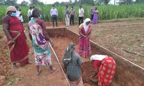 பாலக்கோடு ஒன்றியத்தில் ரூ.1 கோடி மதிப்பு திட்டப்பணிகள்: கூடுதல் கலெக்டர் ஆய்வு பாலக்கோடு ஒன்றியத்தில் ரூ.1 கோடி மதிப்பு திட்டப்பணிகள்: கூடுதல் கலெக்டர் ஆய்வு
