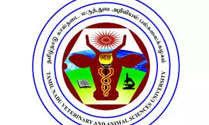 கால்நடை மருத்துவ படிப்புகளுக்கு தொடங்காத கவுன்சிலிங்: குழப்பத்தில் மாணவர்கள் கால்நடை மருத்துவ படிப்புகளுக்கு தொடங்காத கவுன்சிலிங்: குழப்பத்தில் மாணவர்கள்