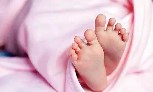 தர்மபுரியில் டிராக்டர் மீது பைக் மோதல்: 5 வயது சிறுமி பரிதாப உயிரழப்பு தர்மபுரியில் டிராக்டர் மீது பைக் மோதல்: 5 வயது சிறுமி பரிதாப உயிரழப்பு