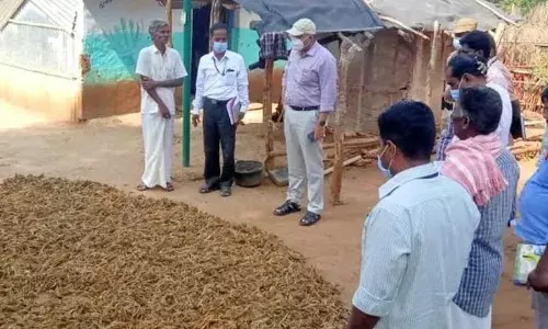 தாளவாடி ஊராட்சி ஒன்றியத்தில் கலெக்டர் கிருஷ்ணனுண்ணி ஆய்வு