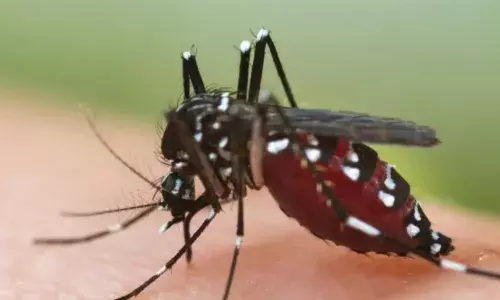 டெங்கு ஹாட்ஸ்பாட் ஆகும் கோவை? கொரோனாவும் அதிகரிப்பதால் கவலை