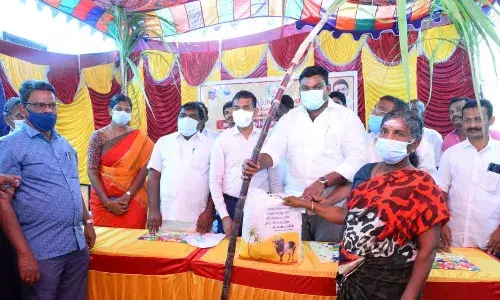 சங்கரன்கோவிலில் குடும்ப அட்டைதாரர்களுக்கு பொங்கல் பரிசு தொகுப்பு வினியாேகம்