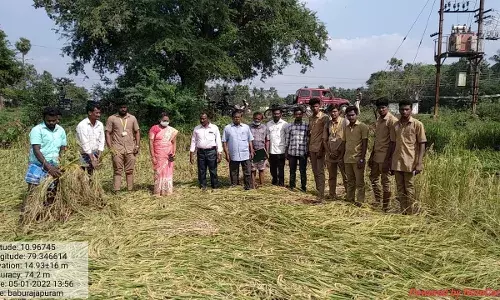 சுவாமிமலை பகுதியில் மழையால் பாதிக்கப்பட்ட பயிர்களை கணக்கெடுக்கும் பணி