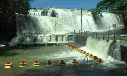 குமரியின் குற்றாலம் திற்பரப்பு அருவி அடைப்பு: வியாபாரிகள் கவலை