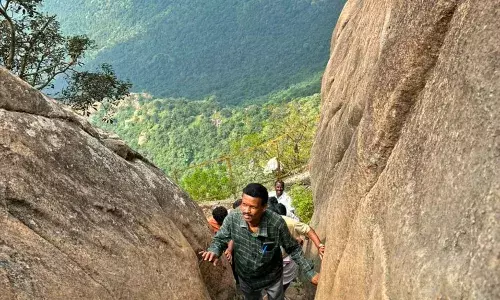 நாடாளுமன்ற உறுப்பினரின் முயற்சியால் பர்வதமலைக்கு சோலார் மின் விளக்குகள் நாடாளுமன்ற உறுப்பினரின் முயற்சியால் பர்வதமலைக்கு சோலார் மின் விளக்குகள்