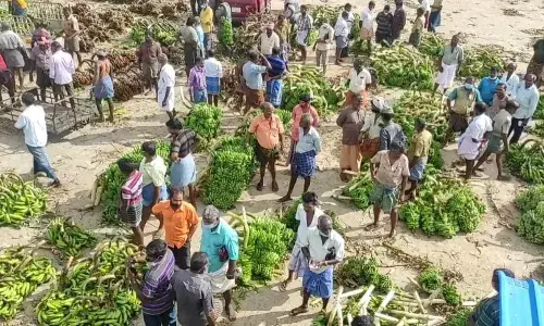 கன்னியாகுமரியில் பொங்கல் சிறப்பு சந்தை - விற்பனை அமோகம்