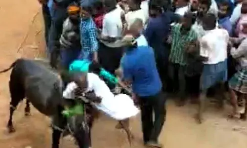 வேலூர் மாவட்டத்தில்  எருதுவிடும் விழா குறித்து கலெக்டர் அறிவிப்பு