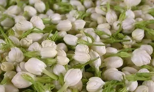 சத்தியமங்கலம் தினசரி பூ மார்க்கெட்‌ விலை  நிலவரம்