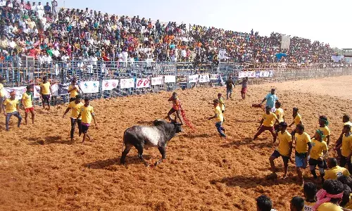 குமாரபாளையம் ஜல்லிக்கட்டு ஜன. 25ஆம் தேதிக்கு மாற்றம்