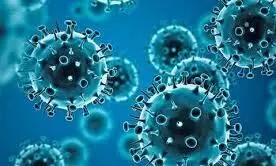 அவினாசியில் அரசு அலுவலகங்களை மிரட்டும் கொரோனா : அச்சத்தில் ஊழியர்கள் அவினாசியில் அரசு அலுவலகங்களை மிரட்டும் கொரோனா : அச்சத்தில் ஊழியர்கள்