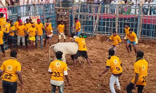 கோவையில் ஜல்லிக்கட்டு: சீறிப்பாயும் காளைகளை அடக்கும் வீரர்கள்