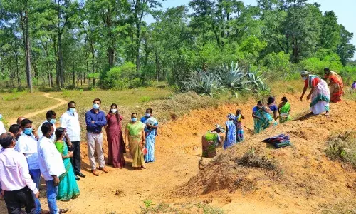 100 நாள் வேலை திட்ட பணிகளை துரிதப்படுத்த கலெக்டர் உத்தரவு