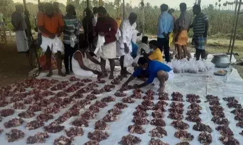 வெங்கடம்பட்டி கிராமத்தில் தேவாதியம்மன் திருவிழா கொண்டாட்டம்