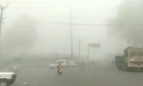 ஏற்காட்டில் கடும் பனிமூட்டம்: சுற்றுலாப் பயணிகள் வருகை குறைவு