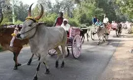 உடுமலை கோவிலில் தை அமாவாசைக்கு ஏற்பாடு