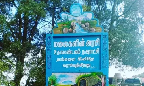 நீலகிரி: 4 நகராட்சிகள் 11 பேரூராட்சிகளில் விறுவிறு -501 பேர் வேட்பு மனு தாக்கல்