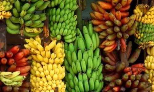அந்தியூர் வாழைத்தார் ஏல நிலையத்தில், ரூ.5 லட்சத்துக்கு விற்பனை
