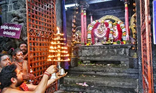 திருவண்ணாமலை அருணாசலேஸ்வரர் கோவிலில் மகுடாபிஷேக உற்சவம்