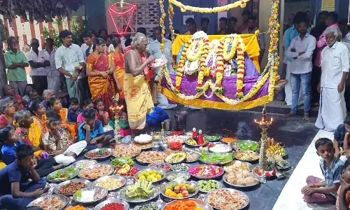 வடக்கு பொய்கைநல்லூர் ஸ்ரீ நந்தி நாதேஸ்வரர் ஆலயத்தில் ஊஞ்சல் உற்சவம்