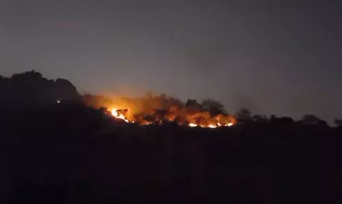 மேற்கு தொடர்ச்சி மலைப்பகுதியில் தீ - மூலிகை மரங்கள் கருகின
