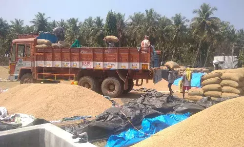 சோழவந்தான் அருகே நெல் கொள்முதல் நிலையங்களில் நெல் மூட்டைகள் ஏற்றும் பணி சோழவந்தான் அருகே நெல் கொள்முதல் நிலையங்களில் நெல் மூட்டைகள் ஏற்றும் பணி