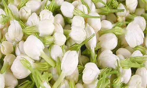 சத்தியமங்கலம் தினசரி பூ மார்க்கெட் விலை நிலவரம்