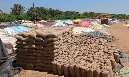 கன மழைக்கு வாய்ப்பு: 20 நாட்களாக அறுவடை  நெல்லுடன் காத்திருக்கும் விவசாயிகள் கன மழைக்கு வாய்ப்பு: 20 நாட்களாக அறுவடை  நெல்லுடன் காத்திருக்கும் விவசாயிகள்