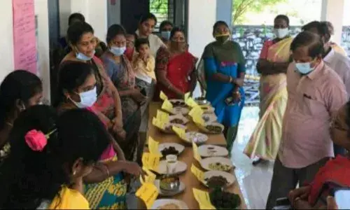 போடிபட்டி ஊராட்சிப்பள்ளியில் ஊட்டச்சத்து விழிப்புணர்வு