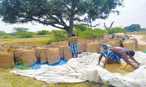 நெமிலி பகுதியில் நெல் கொள்முதல் மையத்தை  திறக்க விவசாயிகள் வலியுறுத்தல்