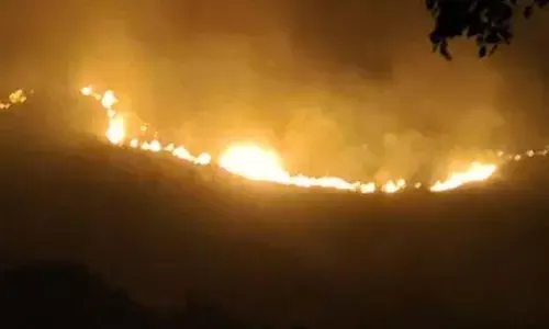 செங்கோட்டை அருகே மேற்கு தொடர்ச்சி மலையில் பற்றி எரியும் காட்டுத்தீ