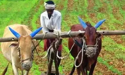 விவசாயிகளே, உங்களுக்கு ரூ. 2 லட்சம் பரிசு! தமிழக அரசு அதிரடி