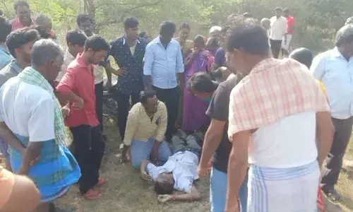மதுபானத்தில் பூச்சி மருந்து கலந்து குடித்து வாலிபர் சாவு மதுபானத்தில் பூச்சி மருந்து கலந்து குடித்து வாலிபர் சாவு