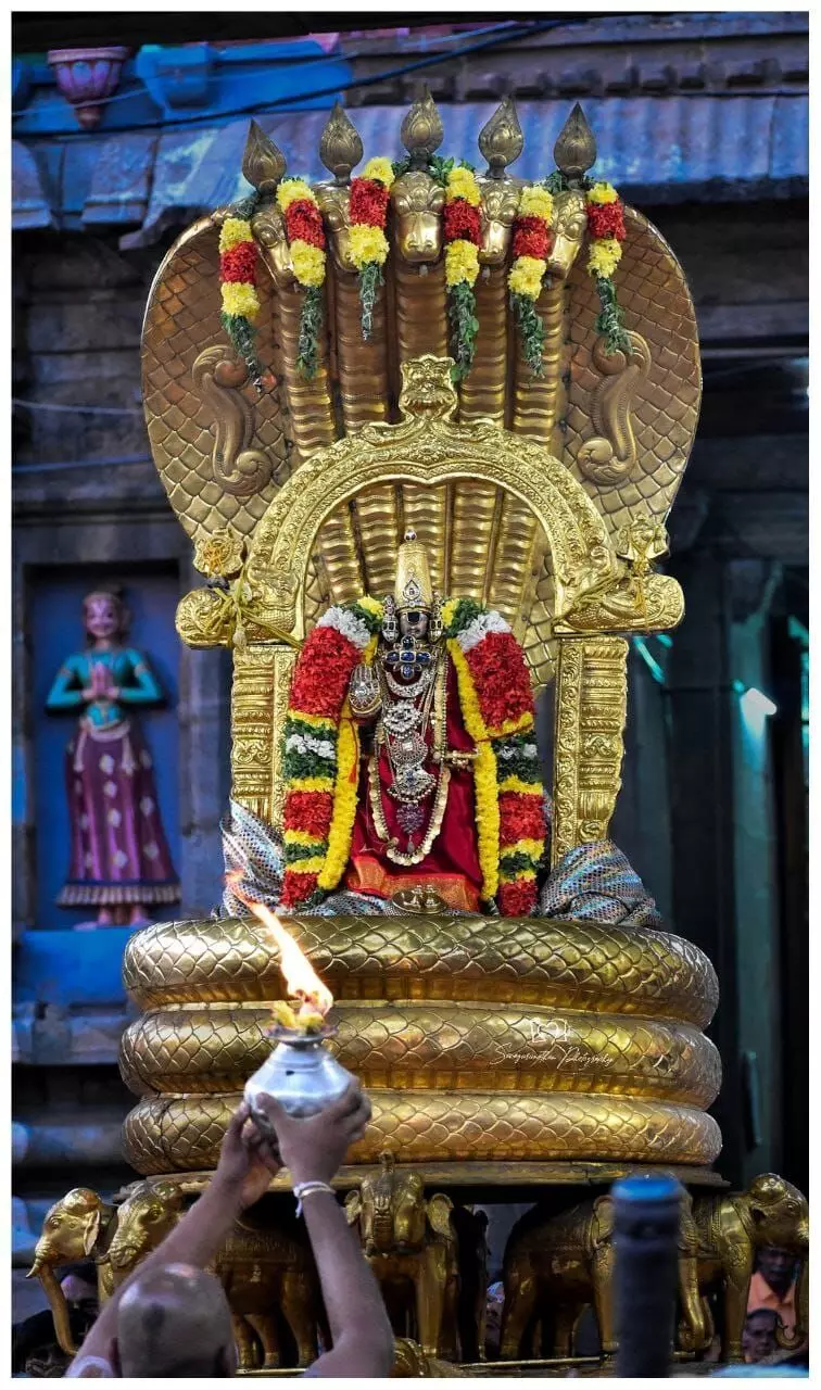 ஸ்ரீரங்கம் பங்குனி தேர் திருவிழா: தங்க சேஷ வாகனத்தில் நம்பெருமாள் ஸ்ரீரங்கம் பங்குனி தேர் திருவிழா: தங்க சேஷ வாகனத்தில் நம்பெருமாள்