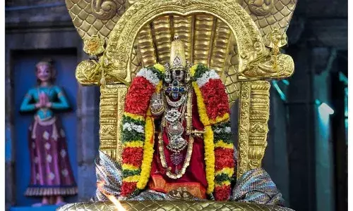 ஸ்ரீரங்கம் பங்குனி தேர் திருவிழா: தங்க சேஷ வாகனத்தில் நம்பெருமாள்