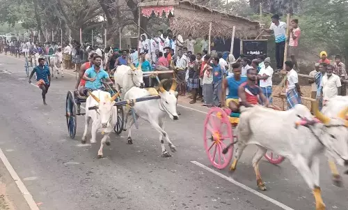 வம்பன்  வீரமாகாளியம்மன் கோயில் திருவிழா: மாட்டு வண்டி- குதிரை வண்டி பந்தயம்