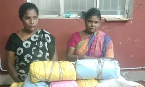 மதுரை அருகே கஞ்சா விற்ற இரு பெண்கள் கைது