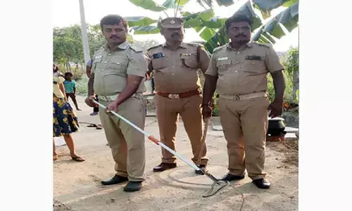 திருப்பத்தூரில் கோவிலில் புகுந்த பாம்பு